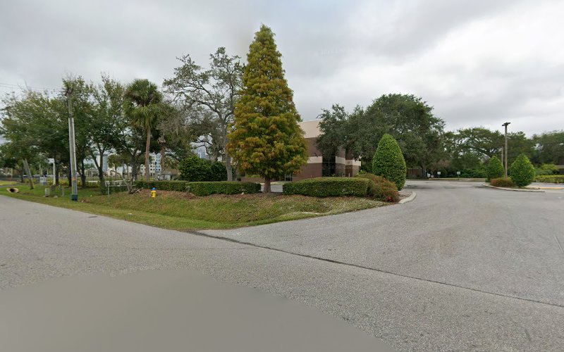 Florida Alternative Medicine