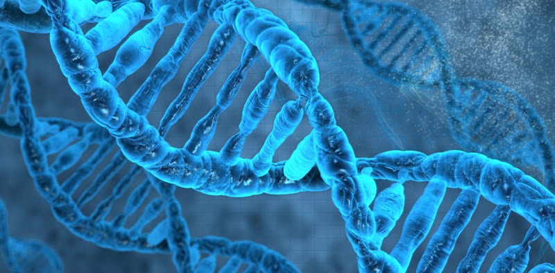 Genesis Metabolics
