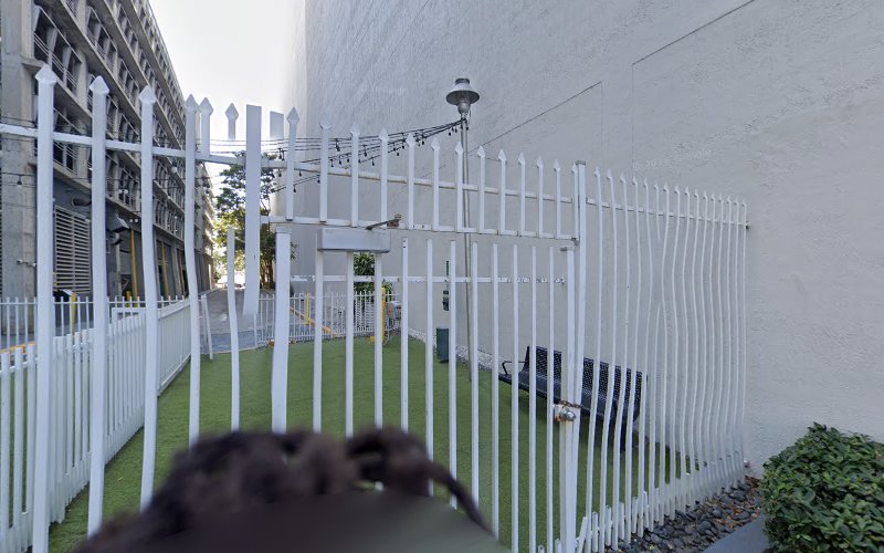 Miami Anti-Aging Institute