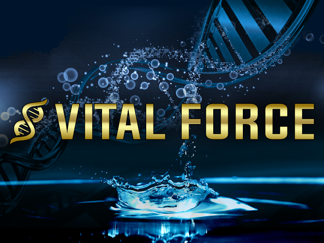 Vital Force Therapy and Wellness