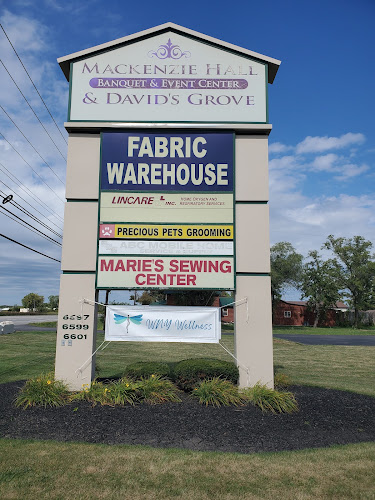 WNY WELLNESS, FAMILY HEALTH NP PLLC